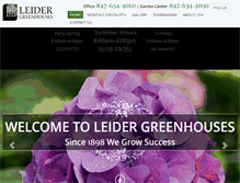 Tablet Screenshot of leider.us